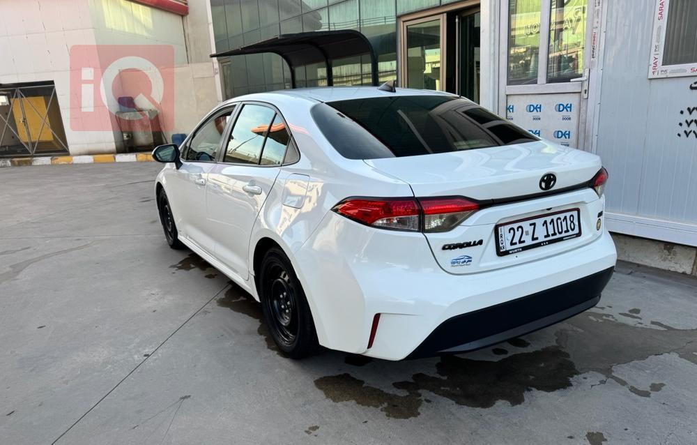 تويوتا كورولا